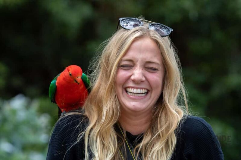 Melbourne: Great Ocean Road & Wildlife Tour for Backpackers - Frequently Asked Questions