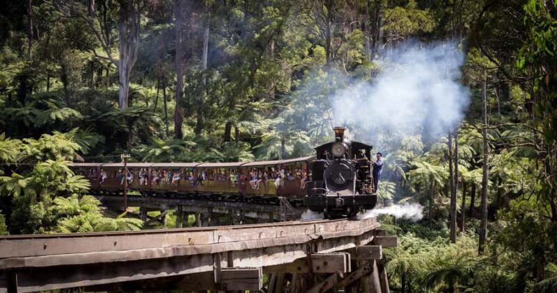 Melbourne: Half-Day Puffing Billy Steam Train Experience - What’s Included and What to Consider