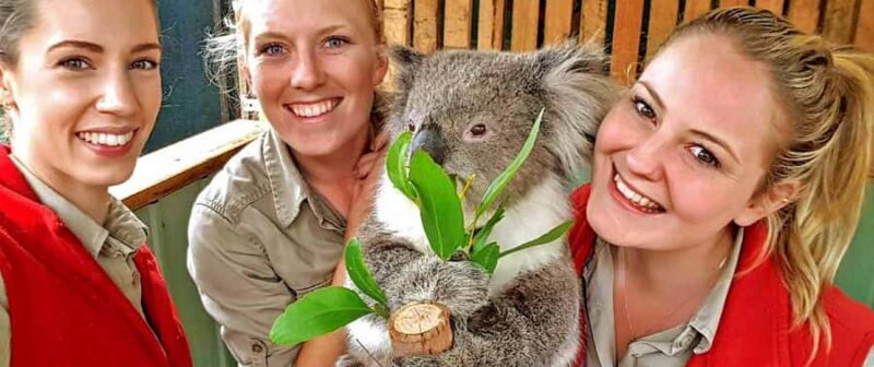 Melbourne Highlights & Aussie Wildlife Express Tour - Why This Tour Is a Great Choice