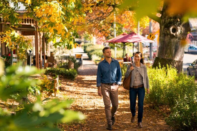 Melbourne: Lake Mountain Snow & Waterfalls Guided Tour - Final Thoughts