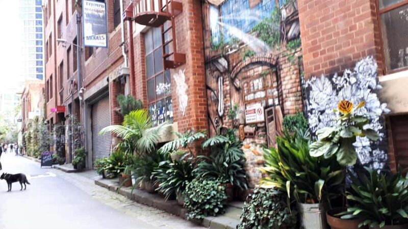 Melbourne Laneways Tour - The Sum Up