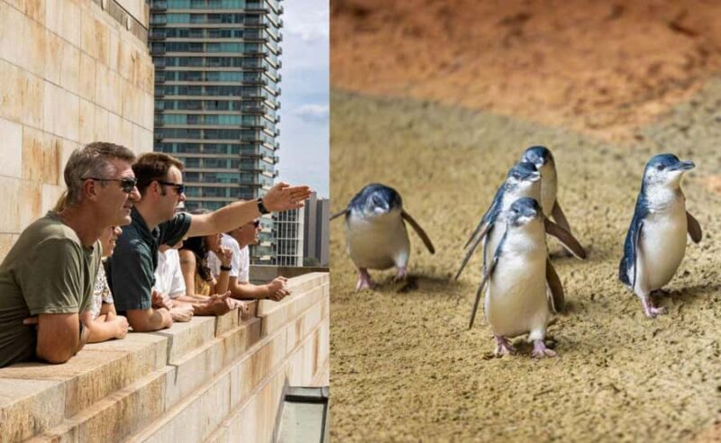 Melbourne Magic: City Highlights and Penguin Parade Tour - An Overview of the Tour Experience