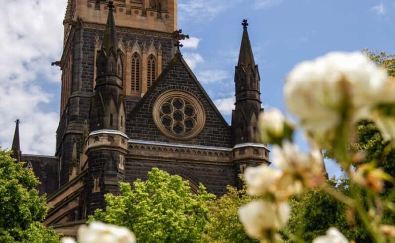 Melbourne Magic: City Highlights and Penguin Parade Tour - The Penguin Parade: Heartfelt and Unmissable