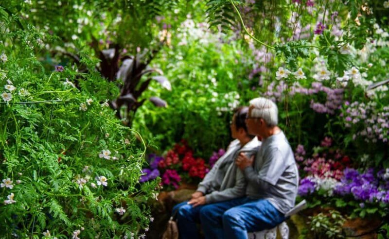 Melbourne Magic: City Highlights and Penguin Parade Tour - Comfort and Practicalities