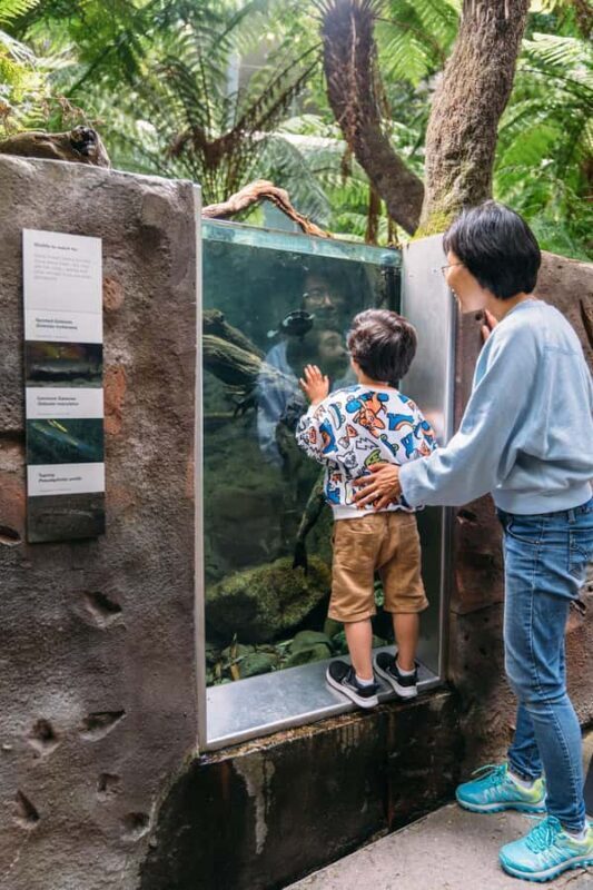 Melbourne: Melbourne Museum Entry Ticket - The Sum Up