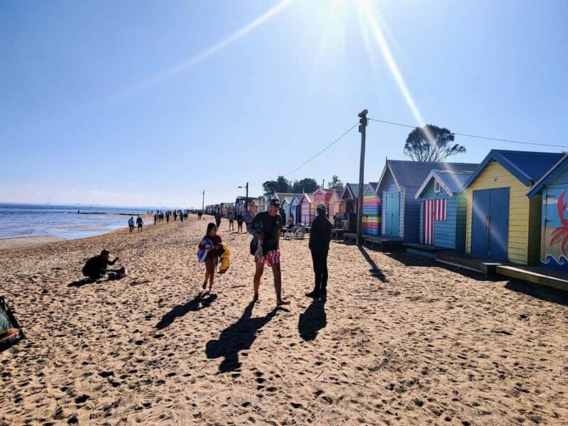 Melbourne: Moonlit Sanctuary and Brighton Beach Boxes Tour - An In-Depth Look at the Tour Experience