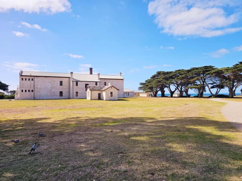 Melbourne: Mornington Peninsula Southern Coast Discovery - Who Is This Tour Best For?