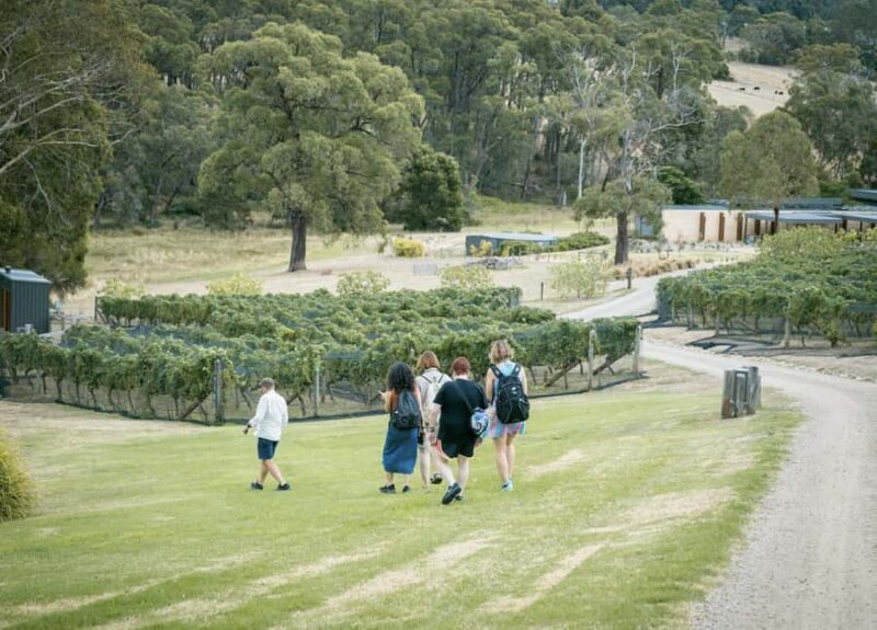 Melbourne: Mornington Peninsula Wine Tour with Lunch - A detailed look at what to expect