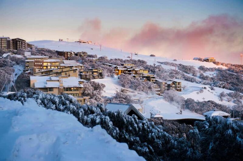 Melbourne: Mt Buller Snowy Escape Trip - 6 Hours of Snow Fun - Why This Tour Offers Good Value