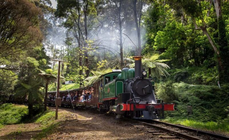 Melbourne: Penguin Parade Tour with Puffing Billy Train Ride - An In-Depth Look at the Tour Experience