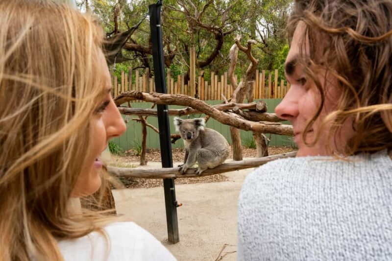 Melbourne: Peninsula Nature Private Day Trip with Dinner - The Travel Experience: Pros and Cons