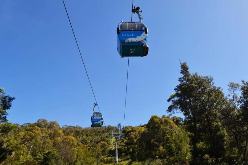 Melbourne: Peninsula Sightseeing Driving Day Tour - FAQ: Your Practical Questions Answered