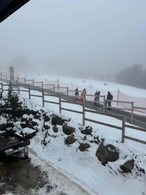 Melbourne: Private Lake Mountain Snow & Redwood Forest Tours - Key Points