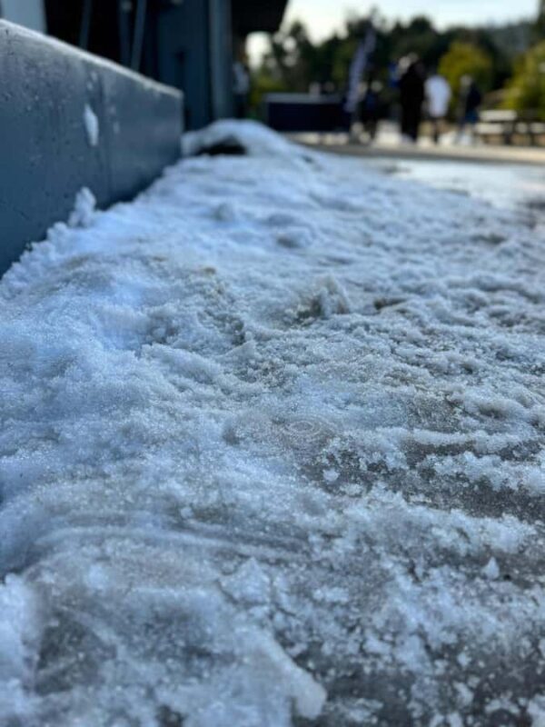 Melbourne: Private Lake Mountain Snow & Redwood Forest Tours - Who Should Consider This Tour?