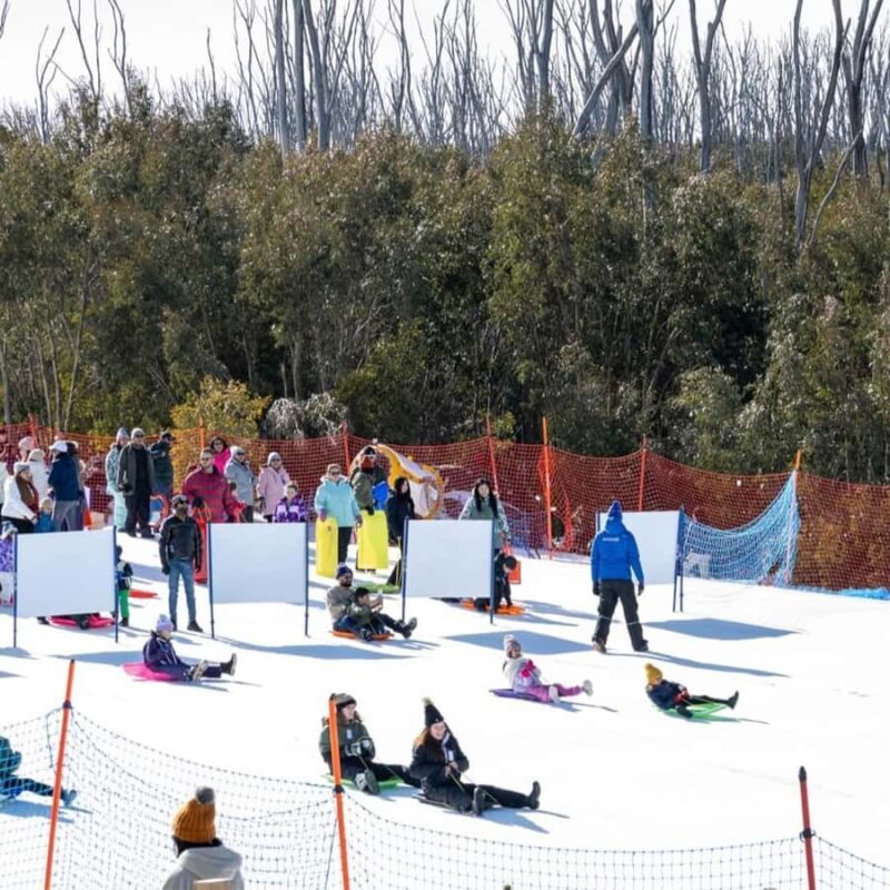 Melbourne: Private Lake Mountain Snow & Redwood Forest Tours - Final Thoughts