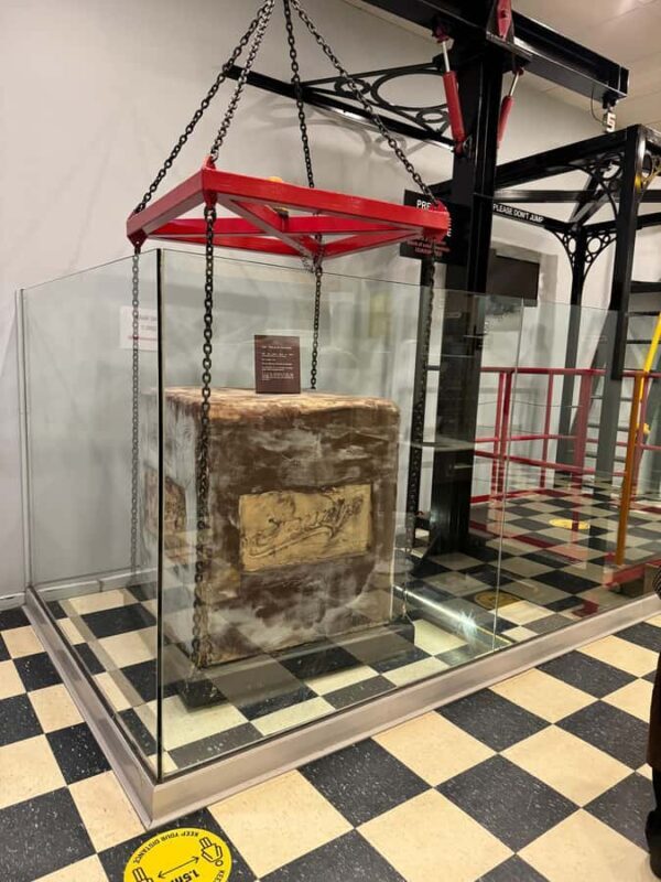 Melbourne: Private Phillip Island Penguin Parade Tours - What You Can Expect During the Day