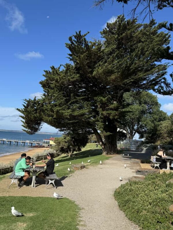 Melbourne: Private Phillip Island Penguin Parade Tours - Detailed Breakdown of the Itinerary