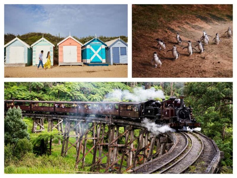 Melbourne: Puffing Billy Penguin Parade Brighton Boxes Tour - An Honest Look at the Tour Experience