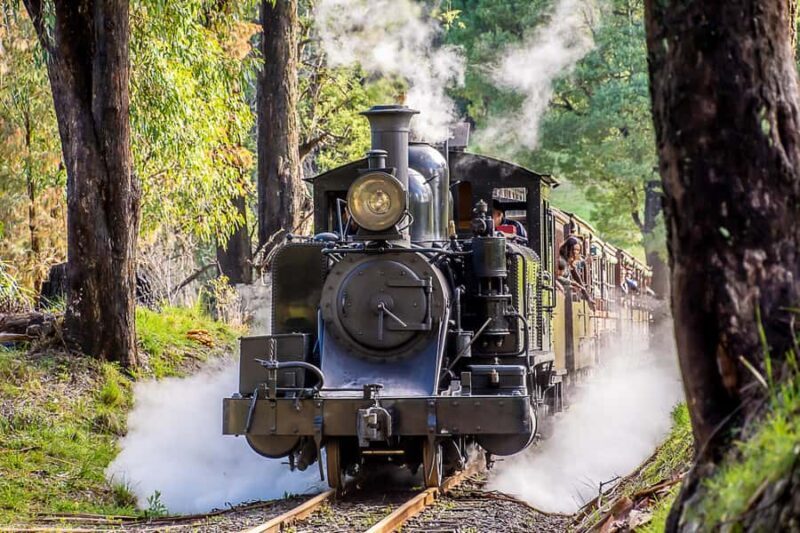 Melbourne Puffing Billy & Penguins Day Tour - The Itinerary: What to Expect