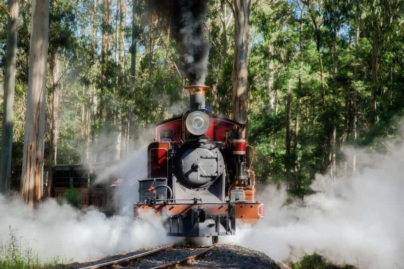 Melbourne Puffing Billy & Penguins Day Tour - Final Thoughts
