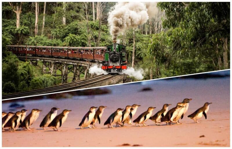 Melbourne: Puffing Billy Railway & Penguin Parade Day Tour - Introduction