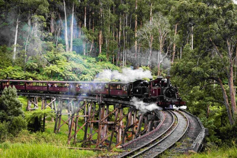 Melbourne: Puffing Billy Railway & Penguin Parade Day Tour - Key Points