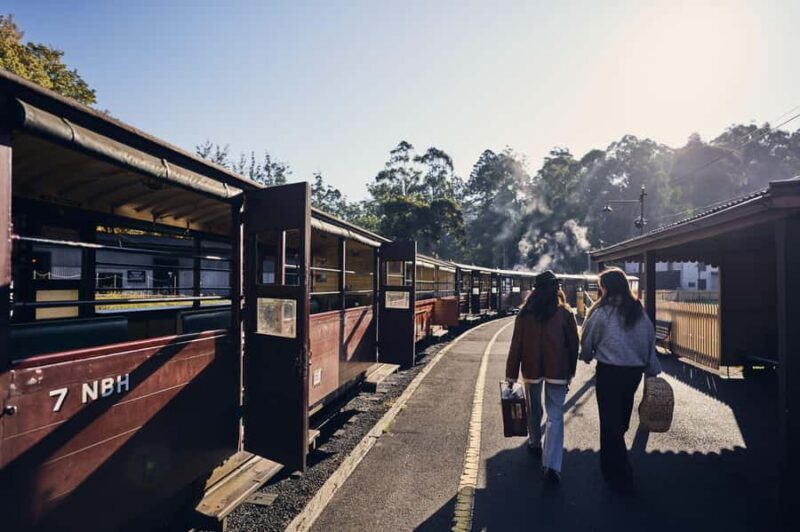 Melbourne: Puffing Billy Railway & Rainforest Tour - An In-Depth Look at the Tour Experience