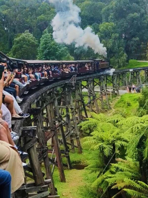Melbourne: Puffing Billy Train and Penguin Island Day Tour - An In-Depth Look at the Tour Experience
