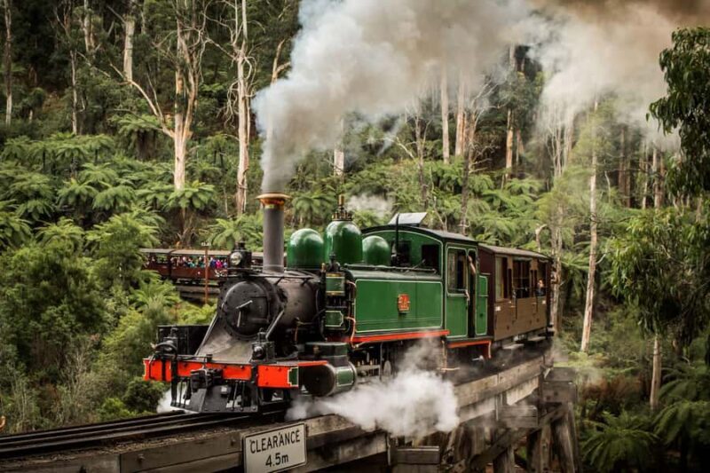Melbourne: Puffing Billy Train & Penguin Parade Adventure - What Travelers Can Expect: Experience & Practicalities
