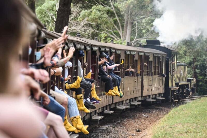 Melbourne: Puffing Billy Train & Penguin Parade Adventure - Authentic Feedback & Highlights from Reviews