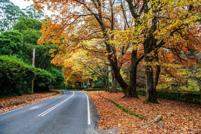 Melbourne: Puffing Billy Train & Penguin Parade Adventure - FAQ