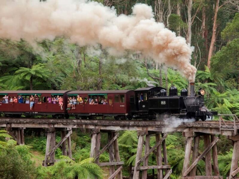 Melbourne: Puffing Billy Train Wildlife Zoo Private Tour - Transportation and Logistics: Why They Matter