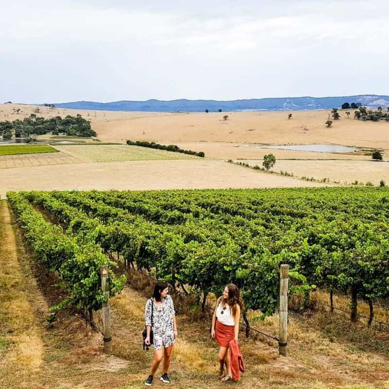 Melbourne: Relaxed Half-Day Yarra Valley Wine Tour - The Sum Up