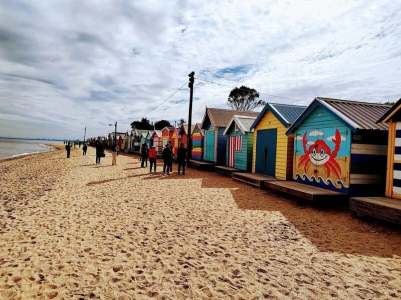 Melbourne Small Group Tour (van and walk) with Beach Boxes - Who Should Consider This Tour?