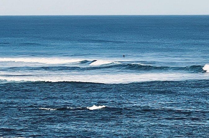 Melbourne: The Great Ocean Road Private Tour - Who Is This Tour Best For?