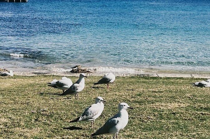 Melbourne: The Great Ocean Road Private Tour - FAQ