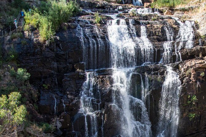 Melbourne to Adelaide 3-Day Great Ocean Road & Grampians Tour - Practical Details and Tips
