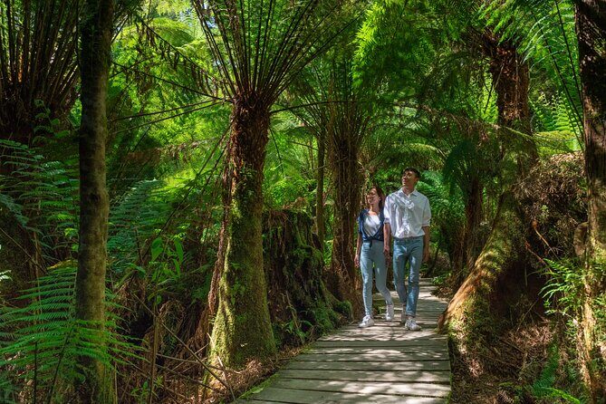 Melbourne to the Great Ocean Road & Grampians 3 Day Original Tour - A Detailed Look at the Itinerary