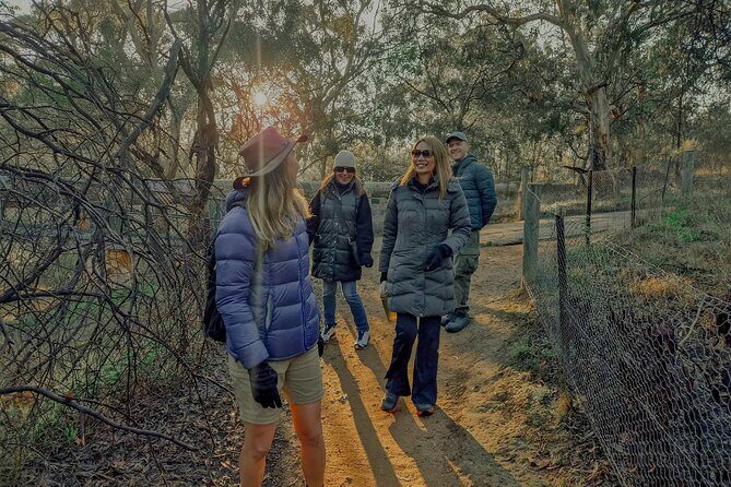 Melbourne Tours Walk the Yarra & Historic Boathouse Lunch - A Detailed Look at the Yarra & Boathouse Tour