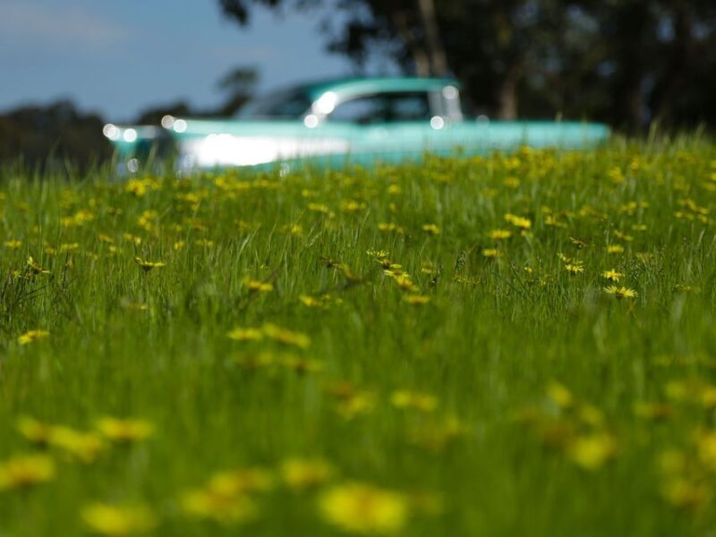 Melbourne: Yarra Valley Food & Wine Tour in a '56 Chevrolet - Authenticity and Personal Touch