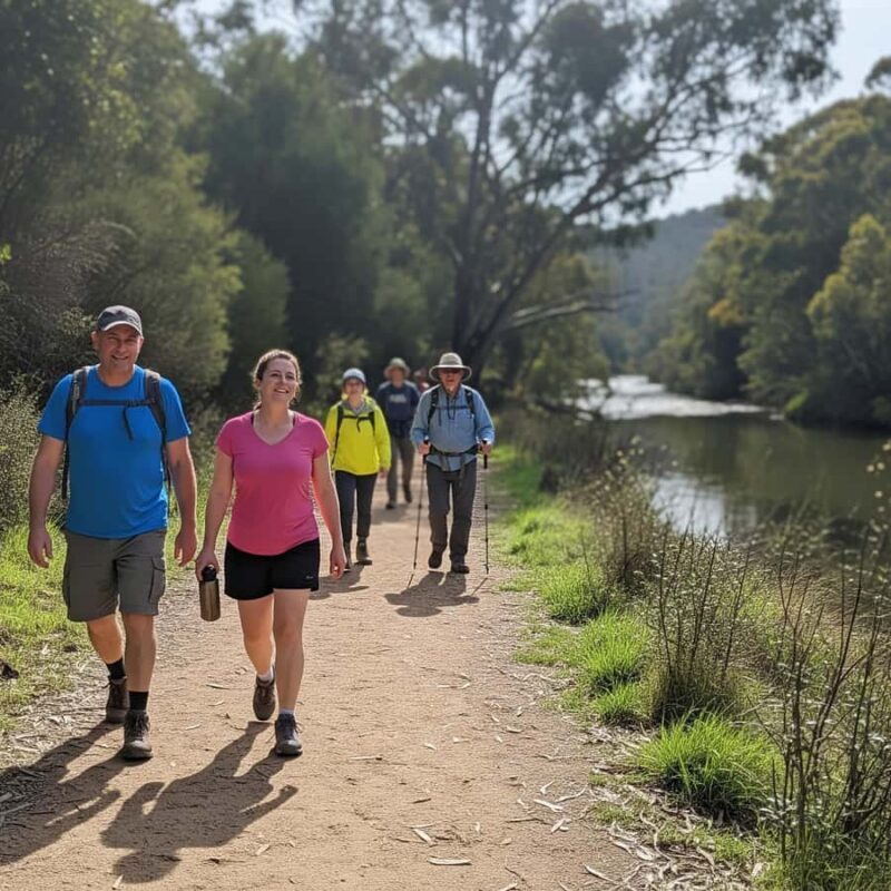 Melbourne: Yarra Valley Hike with Kangaroos & Sunset Picnic - An Introduction to the Experience