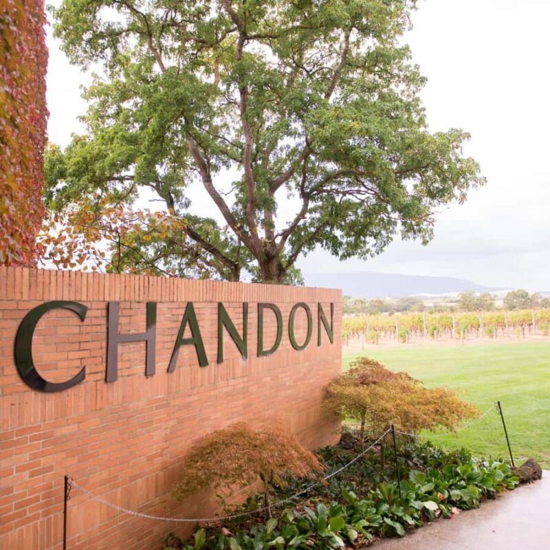 Melbourne: Yarra Valley Wine & Cherry Picking Day Trip - Discovering the Yarra Valley on a Guided Day Trip