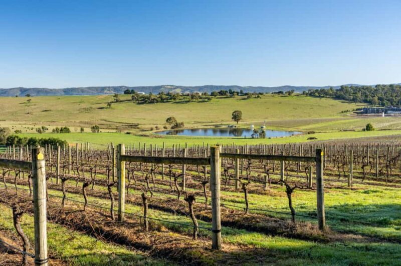 Melbourne: Yarra Valley Wine, Cider, Gin, Beer, & Choc Tour - Melbourne: Yarra Valley Wine, Cider, Gin, Beer, & Choc Tour — An Authentic Day Out in Victoria