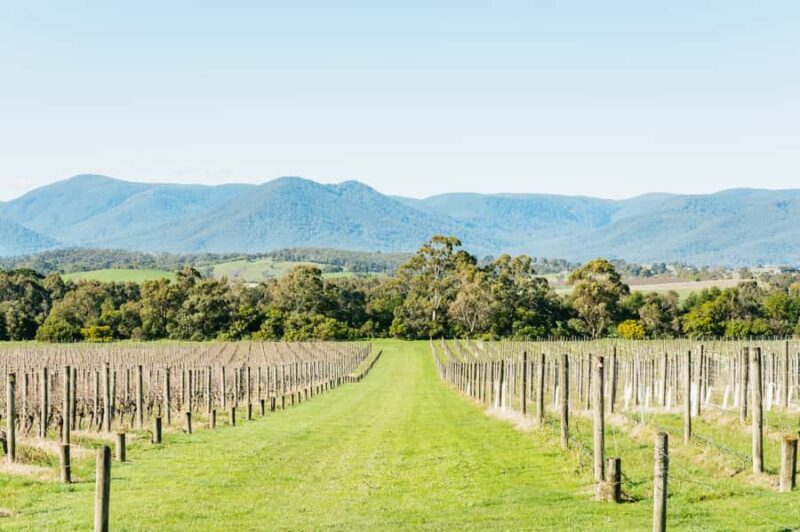 Melbourne: Yarra Valley Wine, Cider, Gin, Beer, & Choc Tour - Final Thoughts