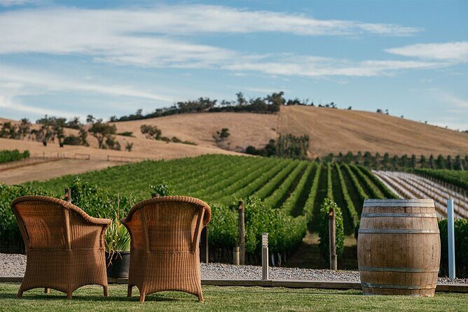 Melbourne Yarra Valley Wineries Explore Private Tour - An In-Depth Look at the Tour Itself