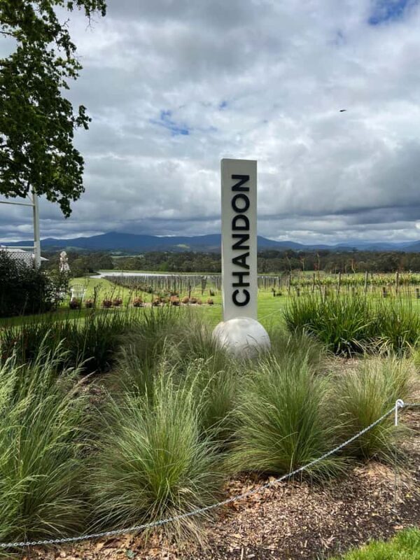 Melbourne: Yarra Valley Wineries Private Day Tour - Key Points