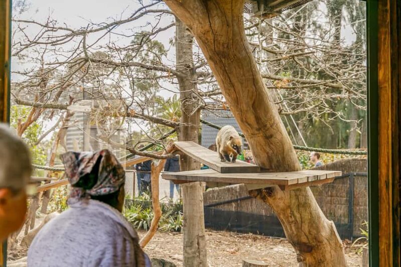 Melbourne Zoo: 1-Day Entry Ticket - The Itinerary and What To Expect