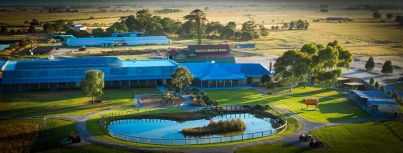 MelbournePhillip Island Tour 1 Day Tour - The Value Proposition