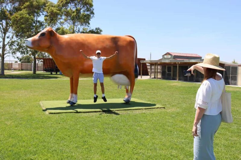 MelbournePhillip Island Tour 1 Day Tour - Who Will Love This Tour?