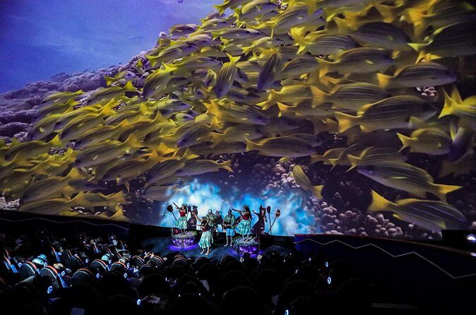 Mele The Hawaiian Music Experience - Who Will Love This Experience?